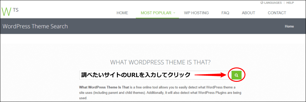 WHAT WORDPRESS THEME IS THAT?